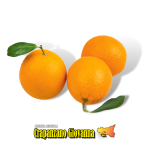 Arance Vaniglia Apireno coltivate a Ribera