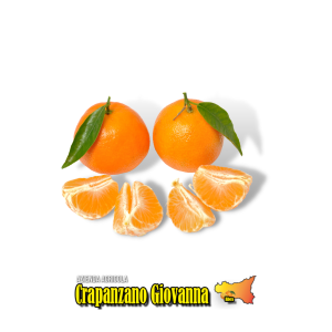 Mandarini Clementine di Ribera